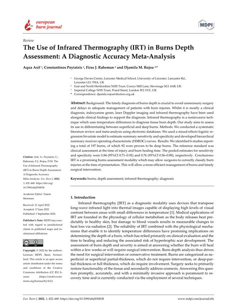 measuring burn depth thickness researchgate|The Use of Infrared Thermography (IRT) in Burns .